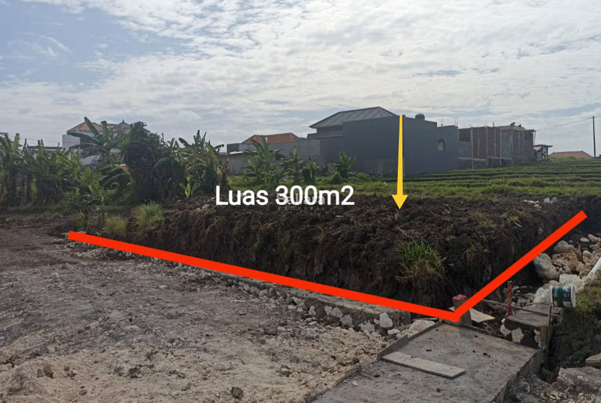 Dijual Tanah 3 Are Pererenan Canggu