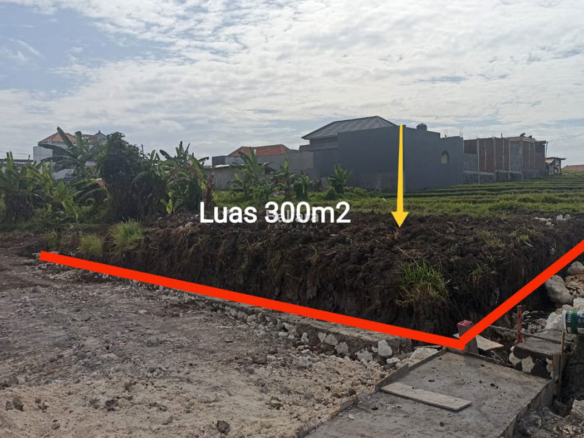 Dijual Tanah 3 Are Pererenan Canggu