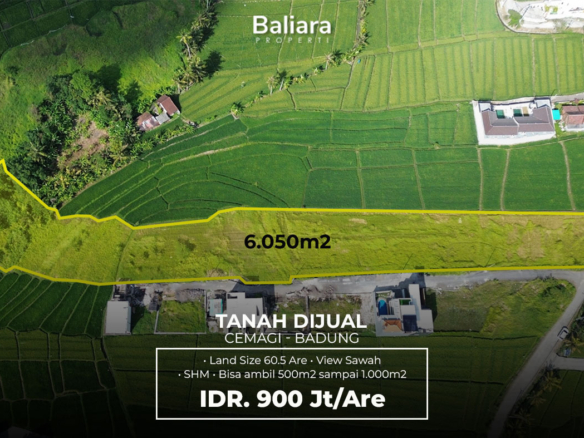 Dijual Tanah 60 Are Cemagi