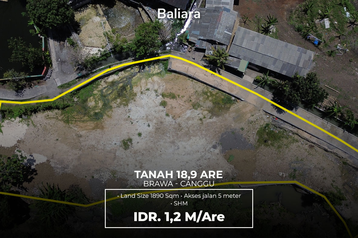 Tanah-18,9-Are-Brawa-Canggu Dijual Tanah Kavling di Brawa Canggu