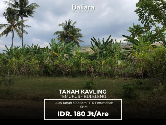 Dijual Tanah Kavling 300m2 Temukus Singaraja