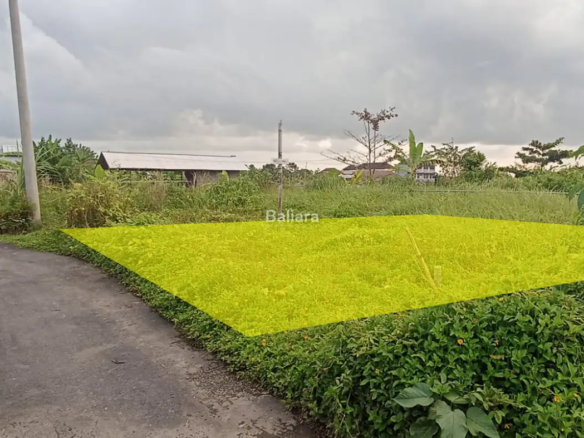 Dijual Tanah Kavling 1,2 Are LC Banjar Anyar Tabanan